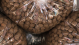 Food (13)